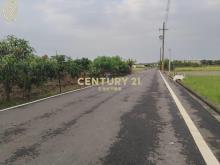 善化１分雙面路農地
