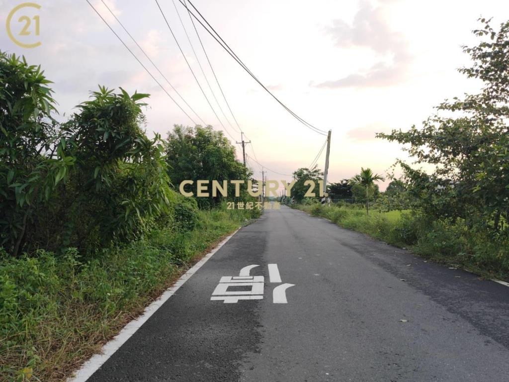 善化１分雙面路農地