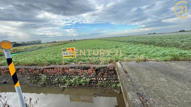 嘉義鹿草庄邊大馬路農地