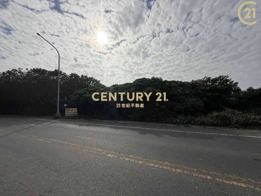 二崙大路工業用地