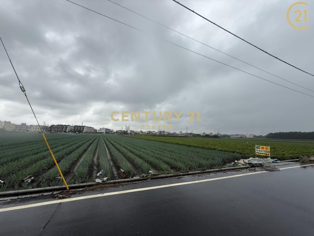 麥寮2.7分10米路農地