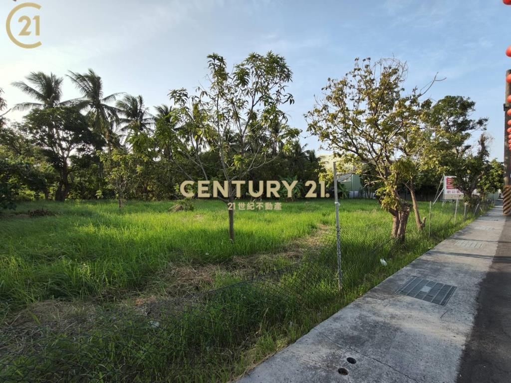 長溪路大面寬農地(B)