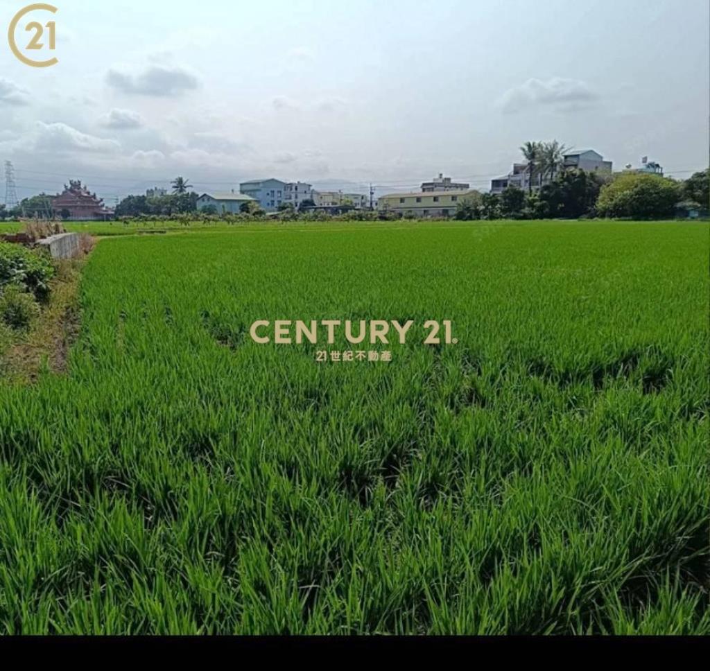 白河美麗田野農地