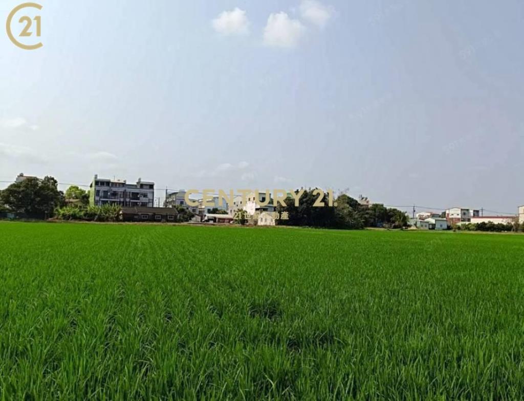 白河美麗田野農地