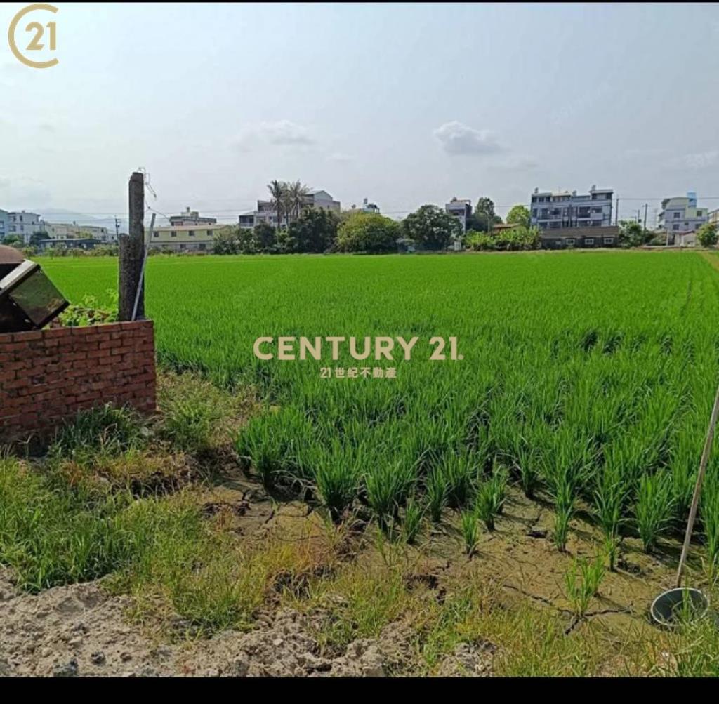 白河美麗田野農地
