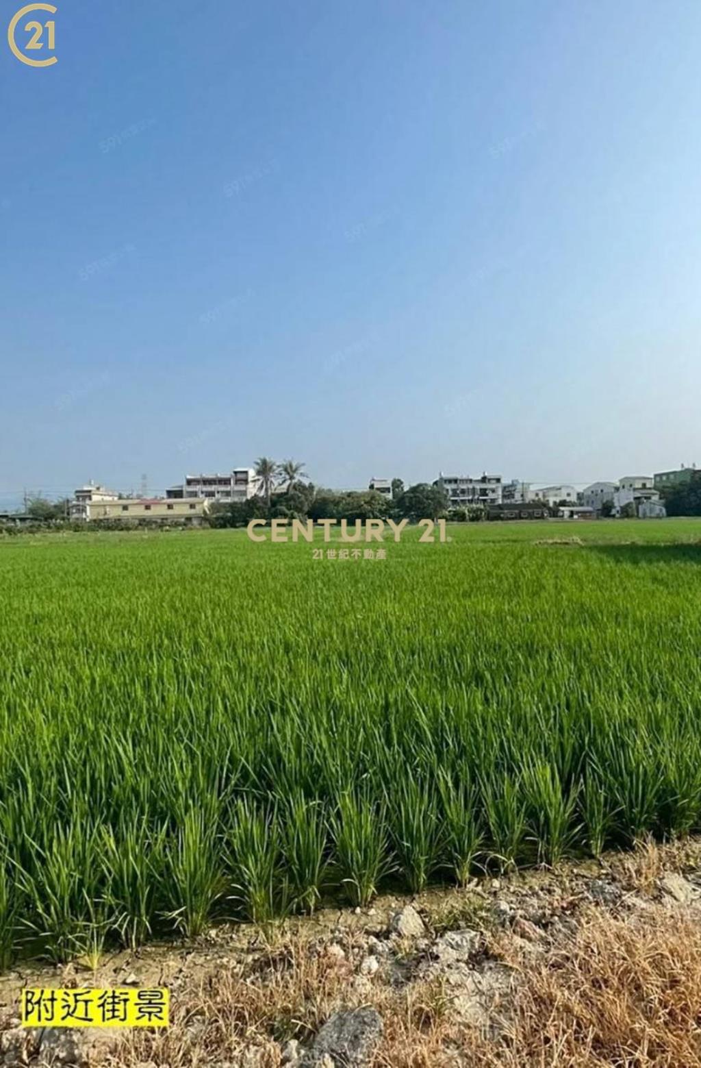 白河美麗田野農地