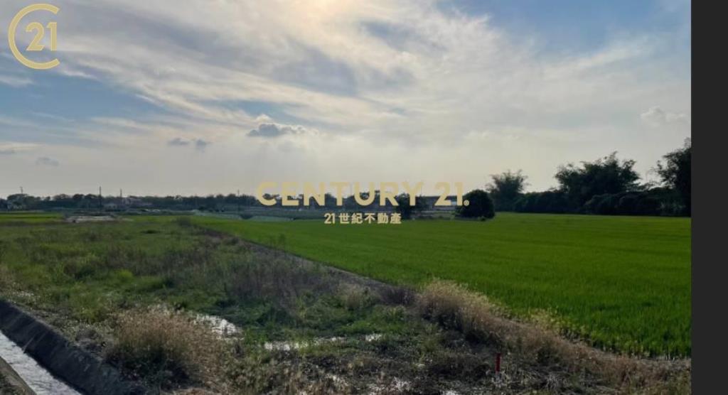 柳營山子腳段566美農地