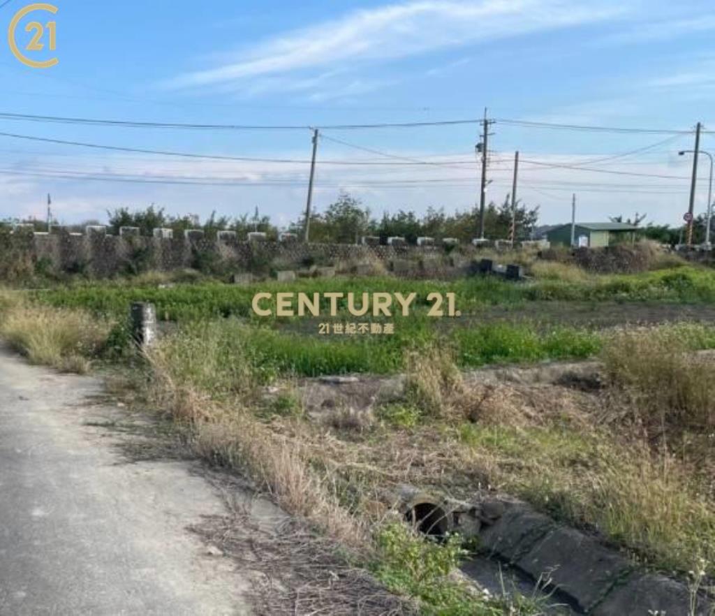 柳營山子腳段566美農地