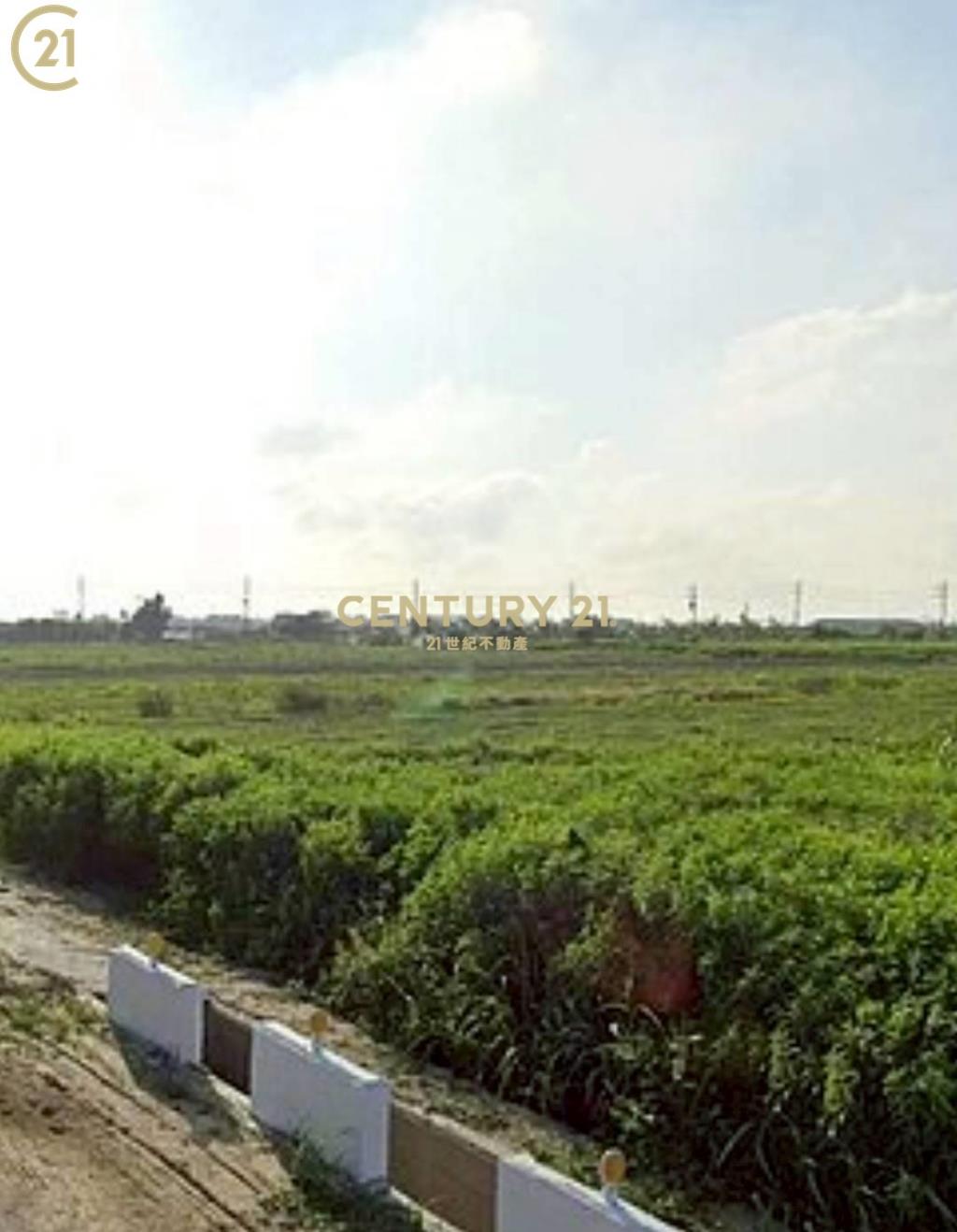 佳里區港墘段520美農地