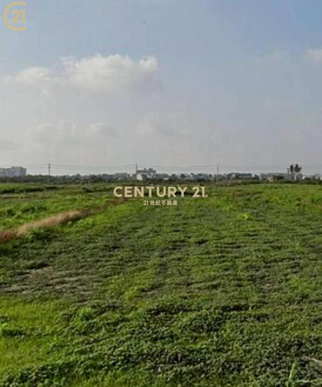 佳里區港墘段520美農地