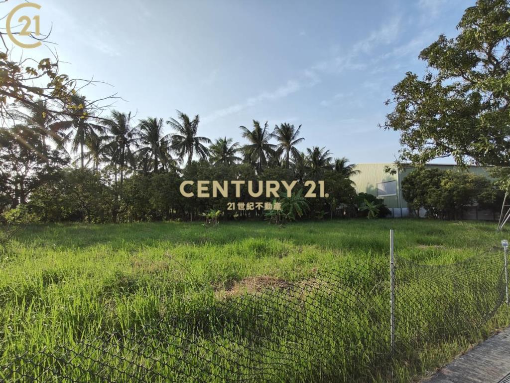 長溪路大面寬農地(A)