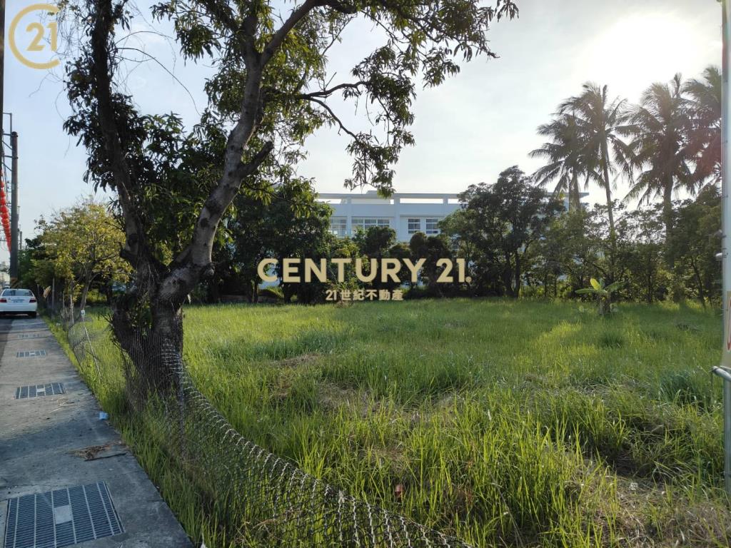 長溪路大面寬農地(A)