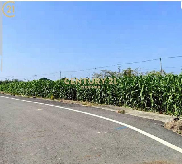 鹽水區休閒農園美地