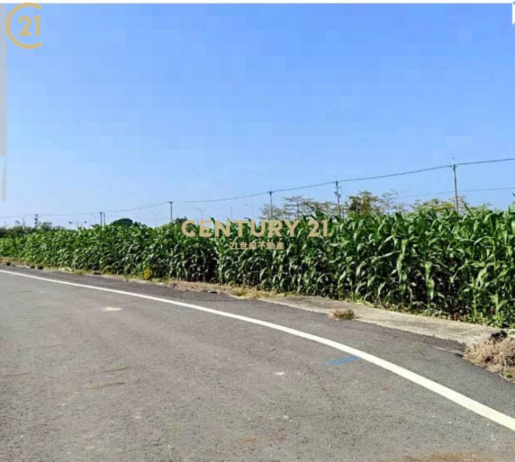 鹽水區休閒農園美地