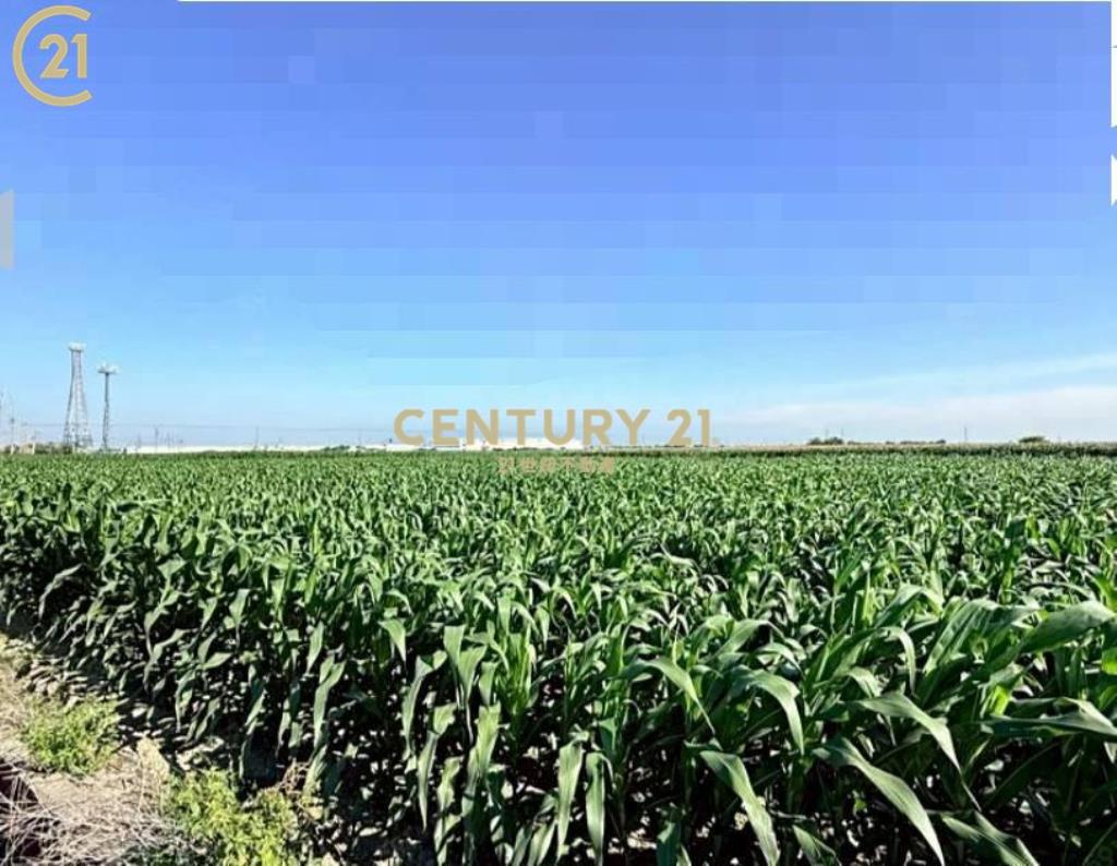 鹽水區休閒農園美地