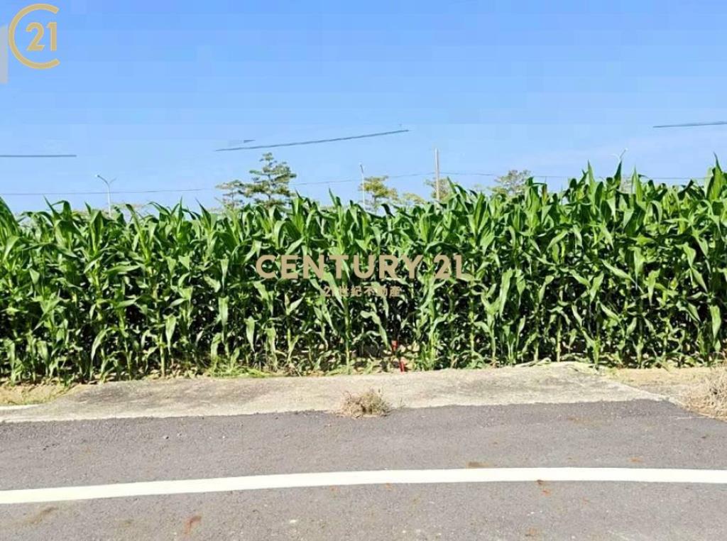 鹽水區休閒農園美地