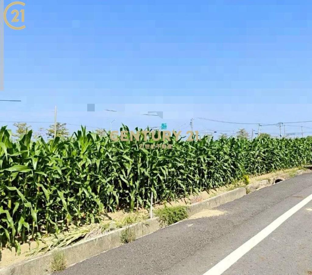 鹽水區休閒農園美地