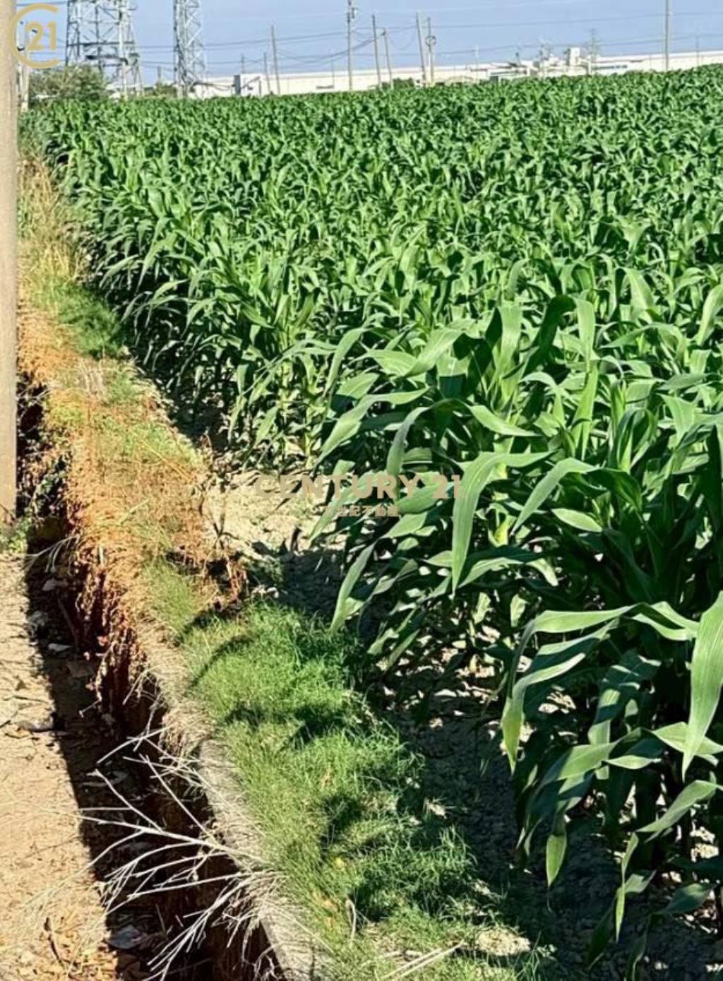 鹽水區休閒農園美地