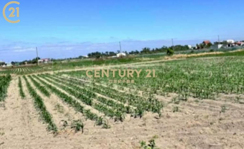 學甲區低總價美農地