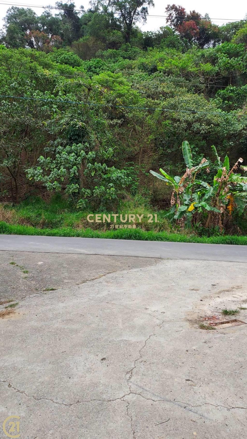 義大世界農地權利地