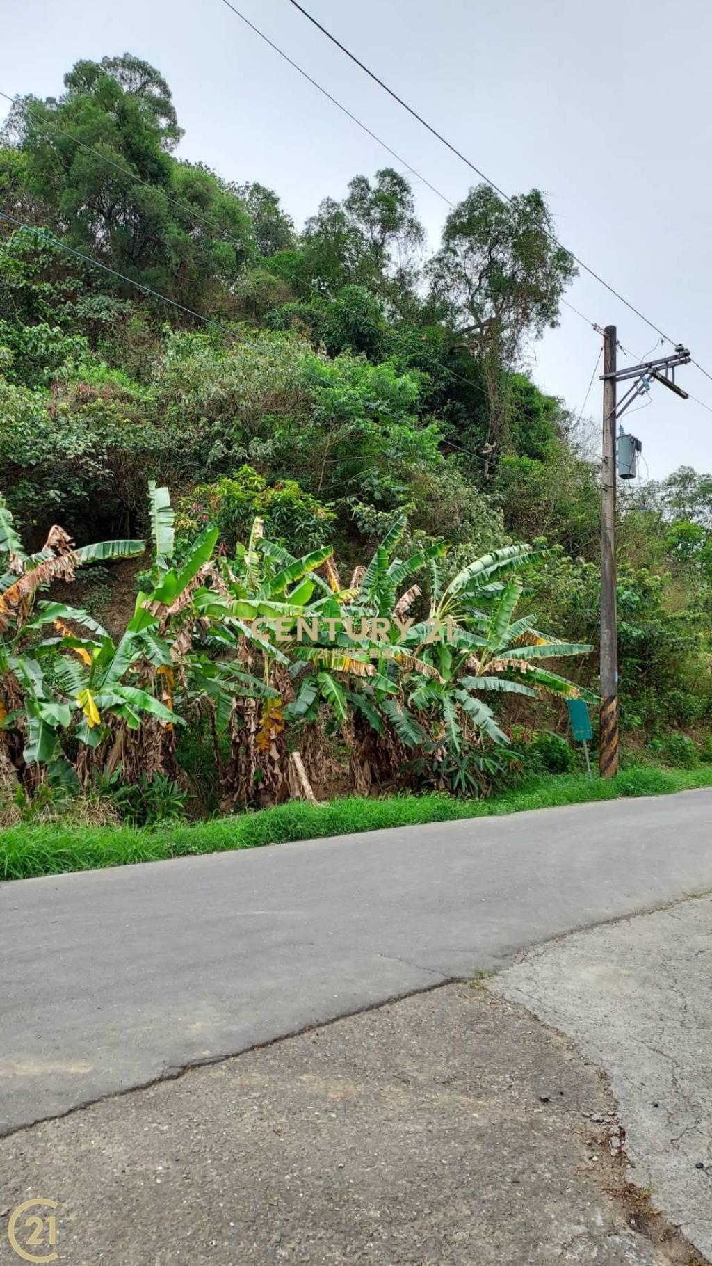 義大世界農地權利地