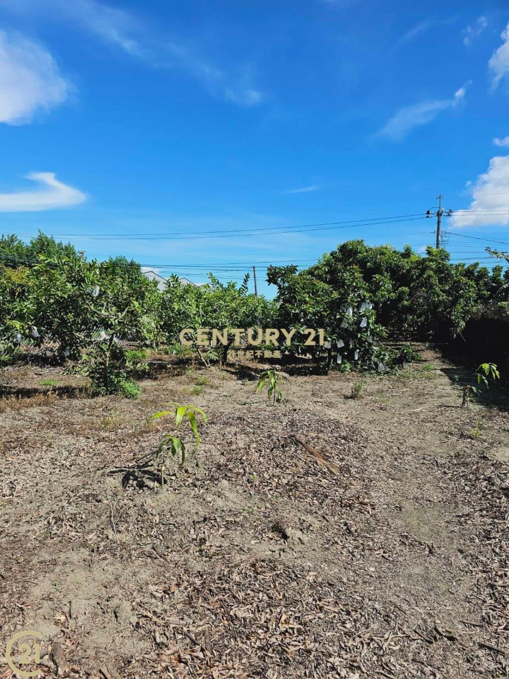 大寮會結營區農地