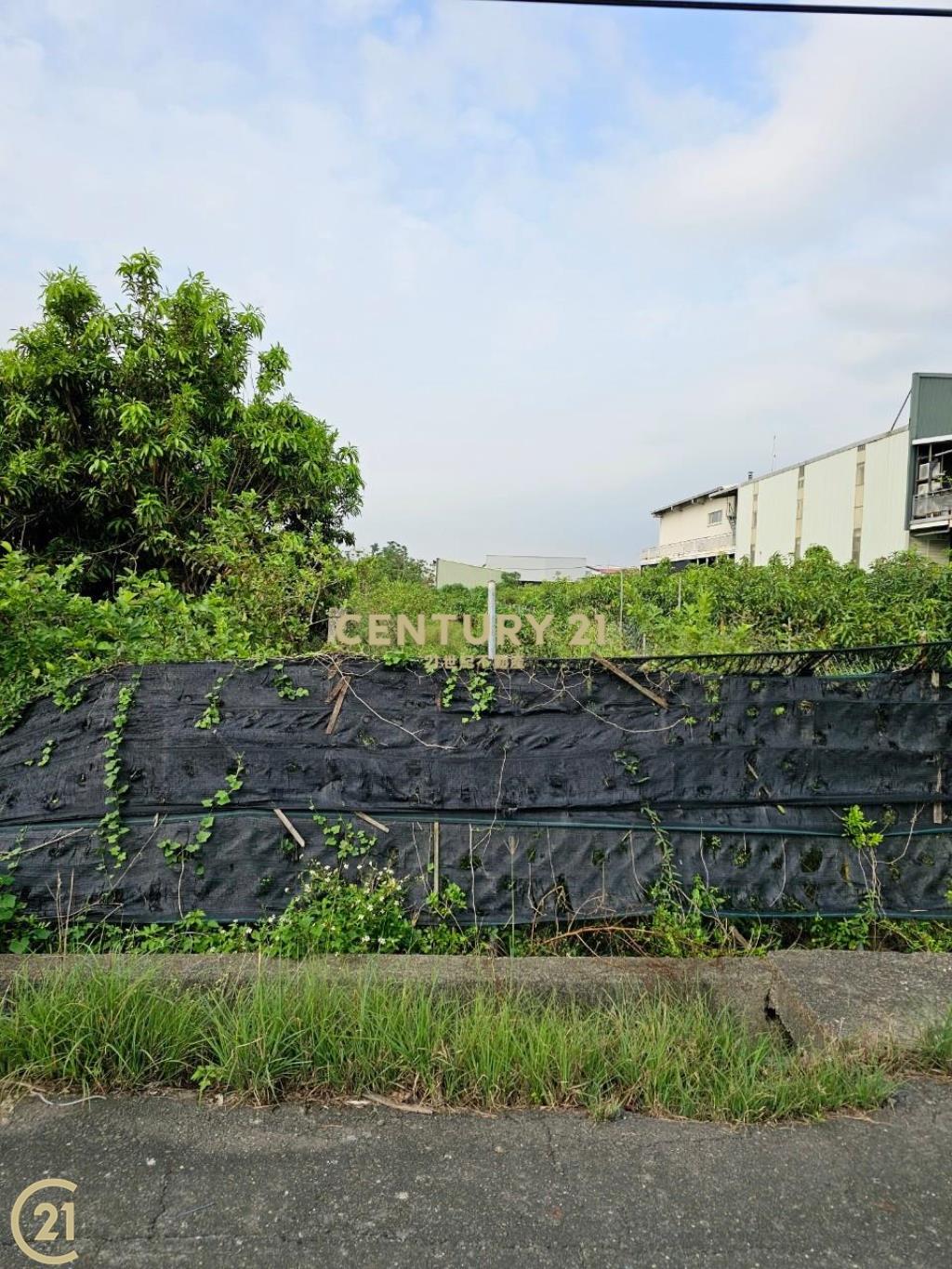 大寮會結營區農地