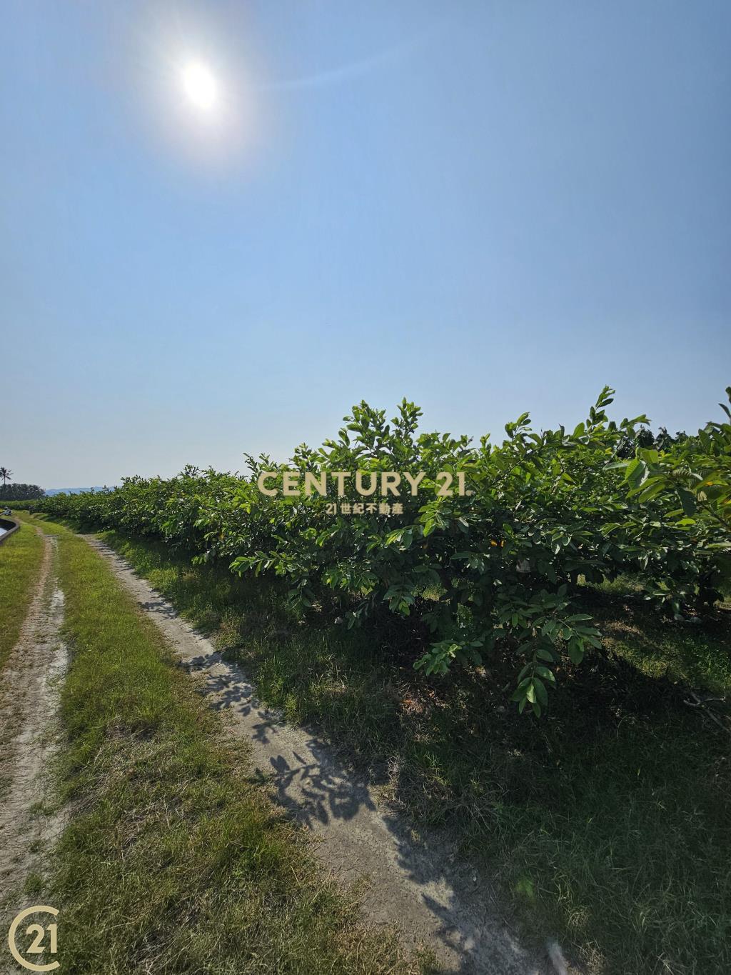 美濃高雄農場農地