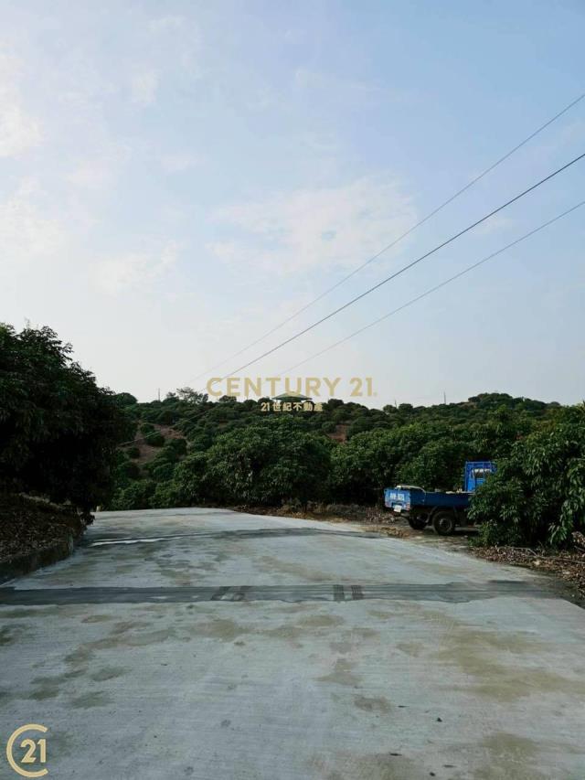 大樹溪埔國小附近優質農地