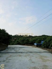大樹溪埔國小附近優質農地