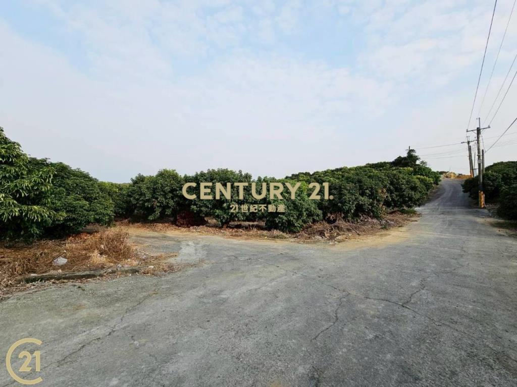 大樹溪埔國小附近優質農地