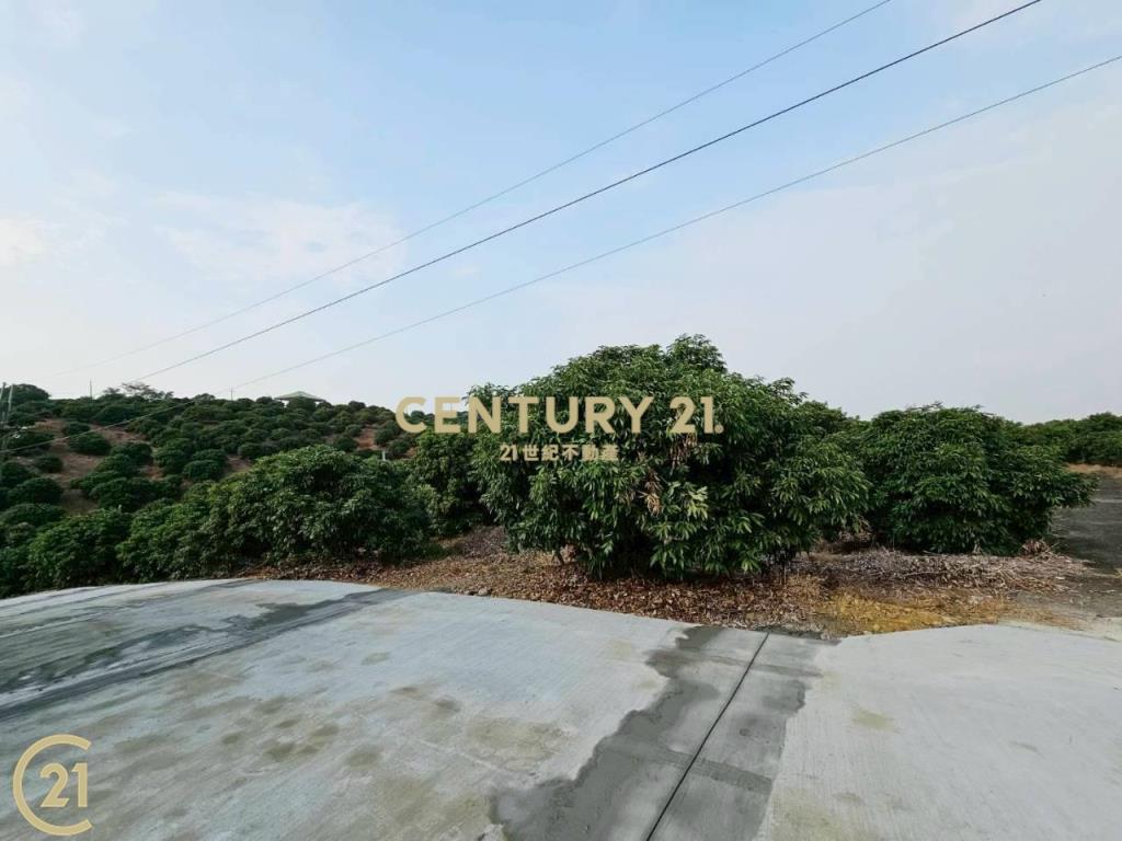 大樹溪埔國小附近優質農地