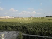 大寮光明路附近農地