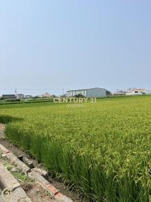 林園都內農地