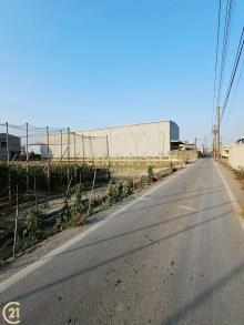 大寮新厝加油站附近農地