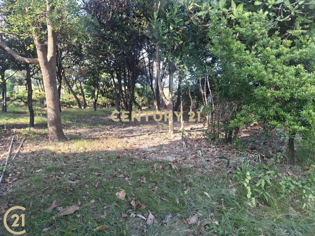 恆春民宿建地