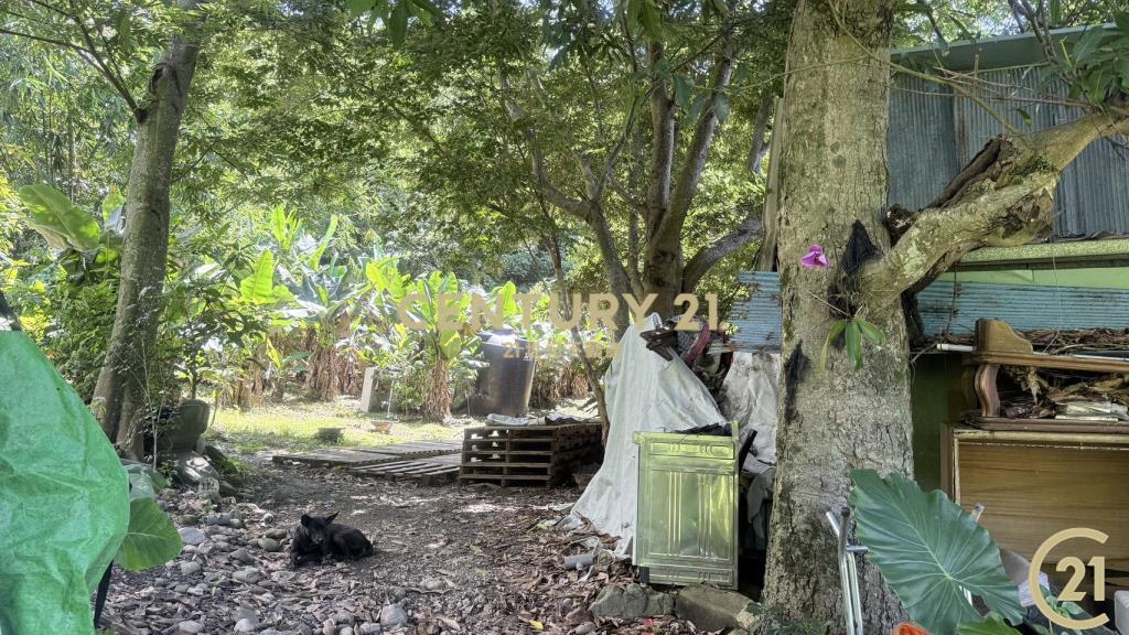 卑南無敵夜景正2分半B