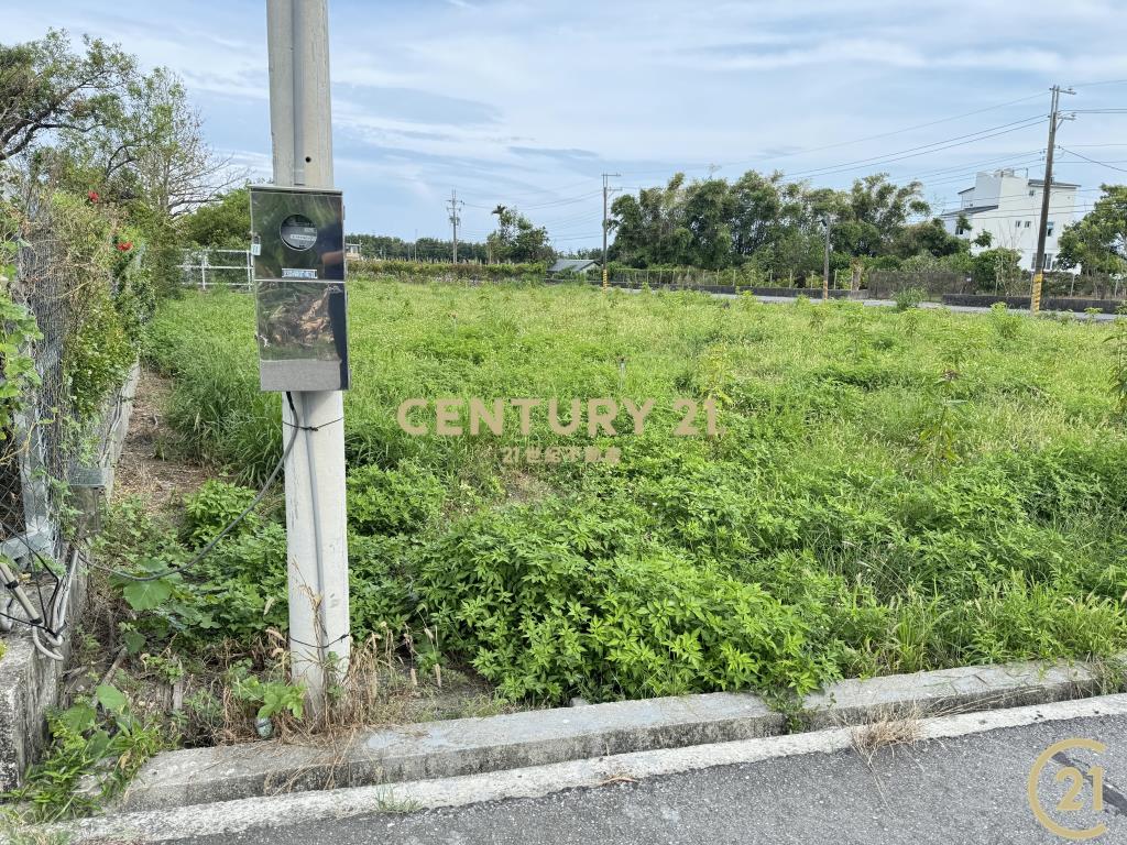 近市區雙臨路美農地