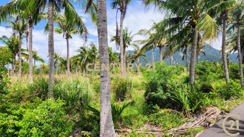 慢生活海景都蘭小屋