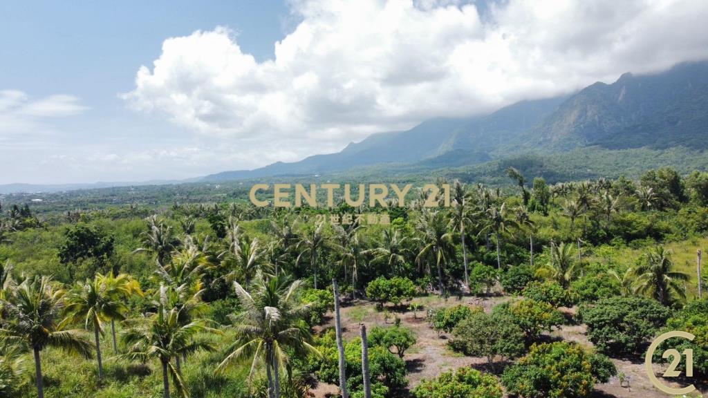 慢生活海景都蘭小屋