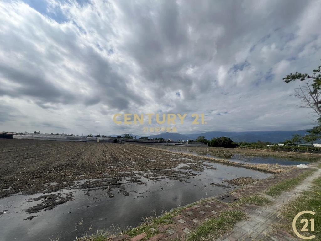 馬亨亨50米路都內農地A