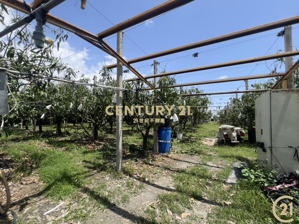 知本路6房絕景農舍