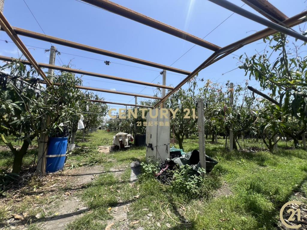 知本路6房絕景農舍