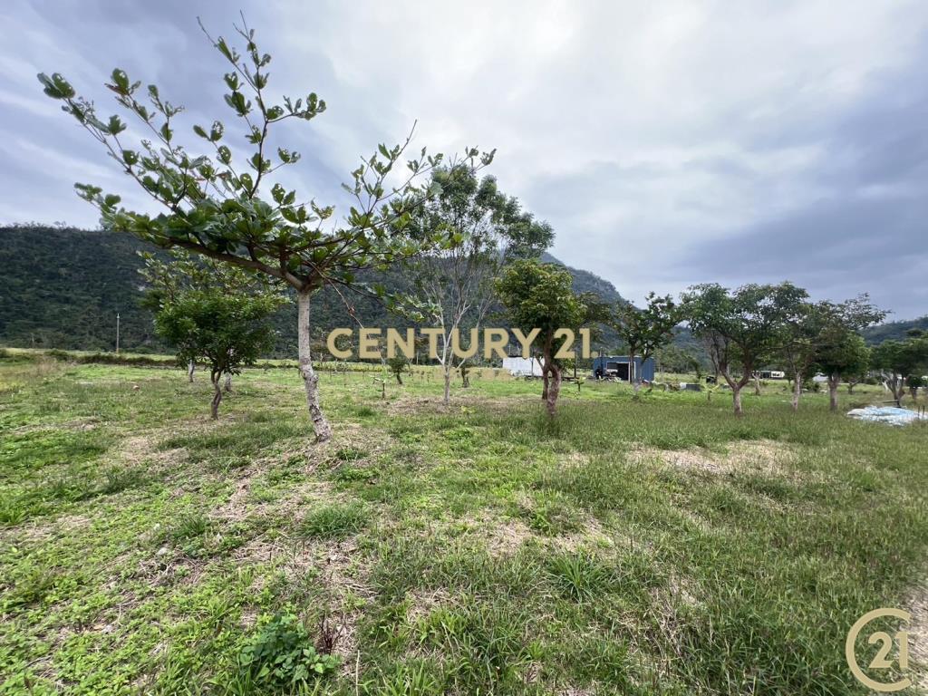 東河泰源幽谷資材農地