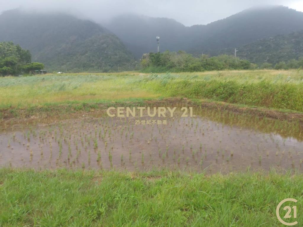 東河泰源幽谷資材農地