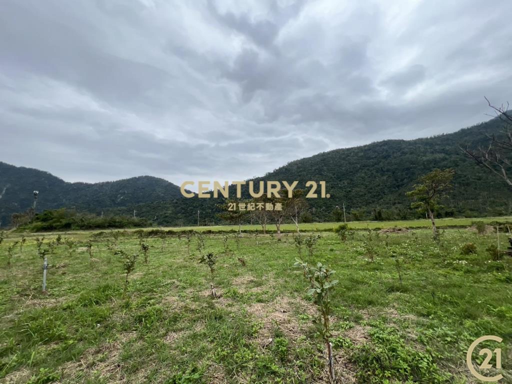 東河泰源幽谷資材農地