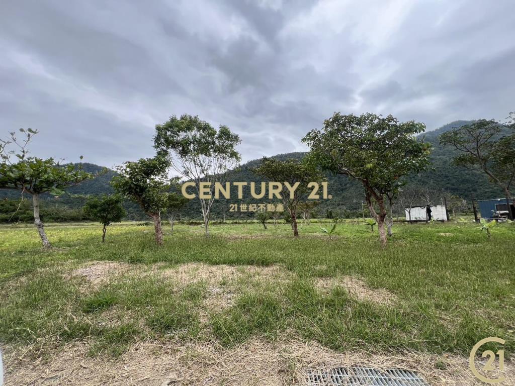 東河泰源幽谷資材農地