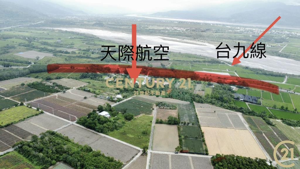 有機茶園方正農地