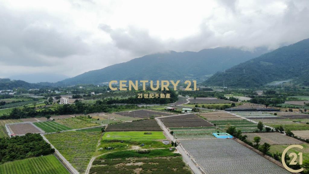 有機茶園方正農地