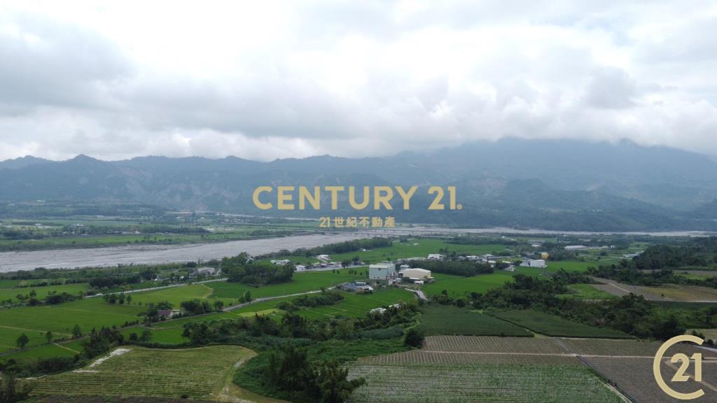 有機茶園方正農地